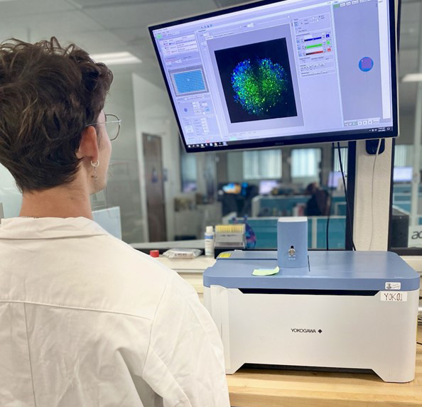 Cell Imaging & Analysis Plate Scanning Services